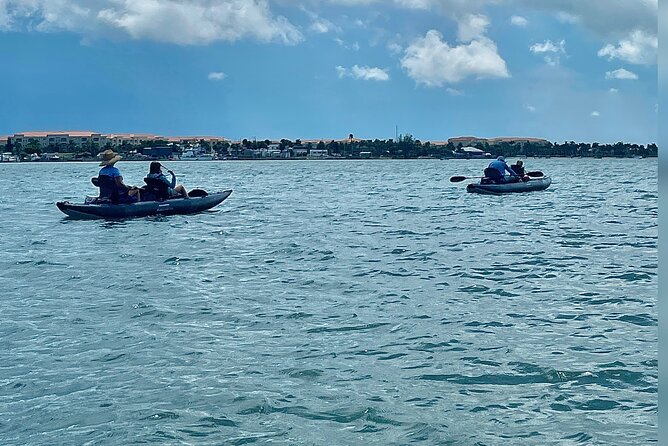 6-Hr Tropical Mangroves, Coastal River and Ocean Wildlife Watch - Additional Information and Cancellation Policy
