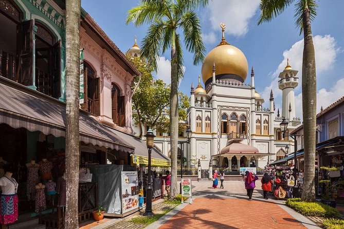6 or 8 Hour Private Shore Excursion of Singapore by Walk - The Sum Up