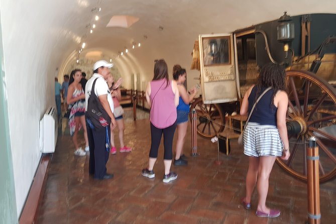 6Hr Walking Tour San Diego Fort Museum Cliff Divers Zocalo - Cancellation Policy for the Tour