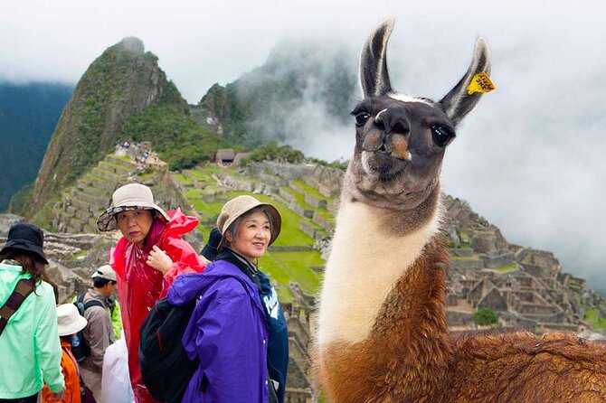 7-Day Lima, Cusco & Sunrise at Machu Picchu - Sunrise at Machu Picchu: A Breathtaking Experience