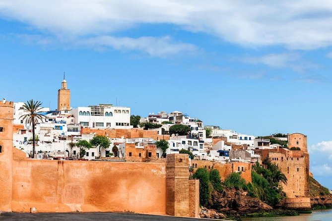 7 Days Discovery The Atlas Mountains & Luxury Sahara Desert From Casablanca - Day 5: Camel Trekking and Luxury Camp Stay