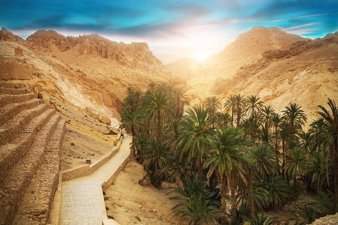 8 Days From the Mainland to the Island From Tunis - Explore Tozeur and Douz