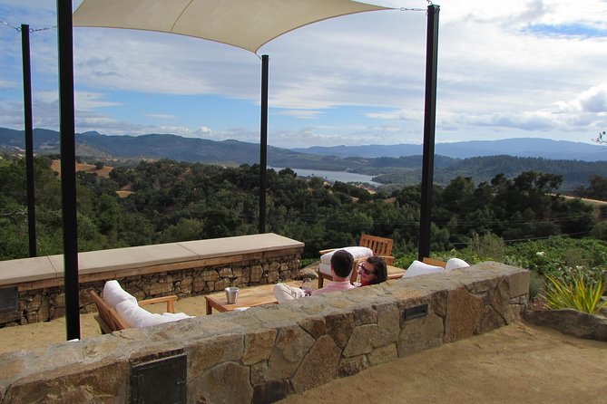 8-Hour Private, Customized Wine Tour up to 6 Guests Napa Valley & Sonoma - Reviews and Support