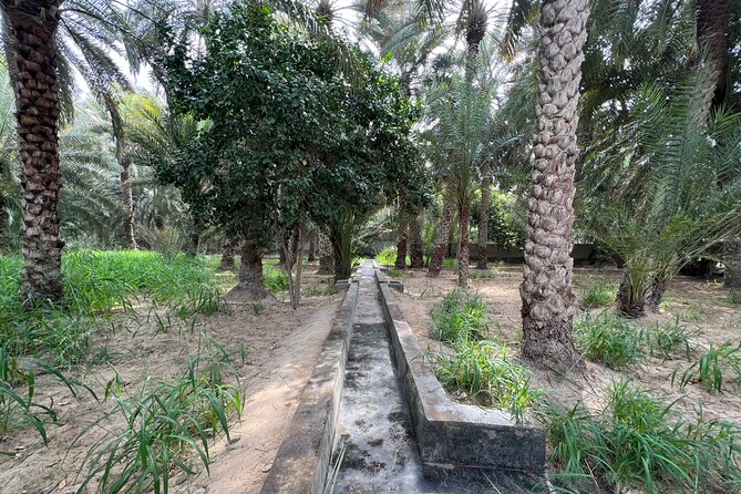8 Hours Al Ain City Tour Without Lunch - Expert Tour Guide
