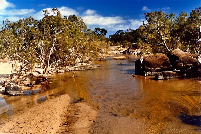 9-Day Small Group Fully Accommodated Cape York 4WD Tour From Cairns - Booking and Pricing Information