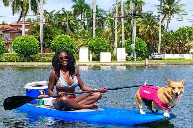 90-Minute SUP Tour of Las Olas Canals With a Doggy Guide  - Fort Lauderdale - Tour Safety Measures