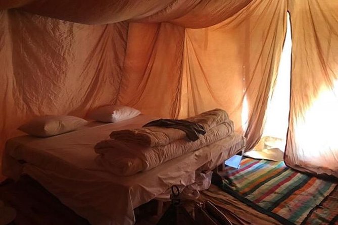 A Luxury Overnight Sahara Desert From Tozeur - Gourmet Dining Experience
