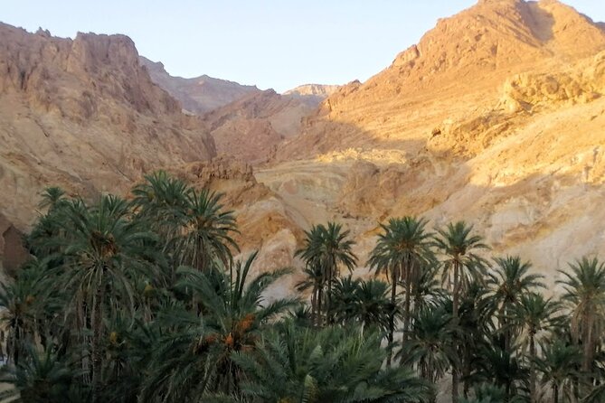 A Private Night at Desert Douz Tozeur - Pricing