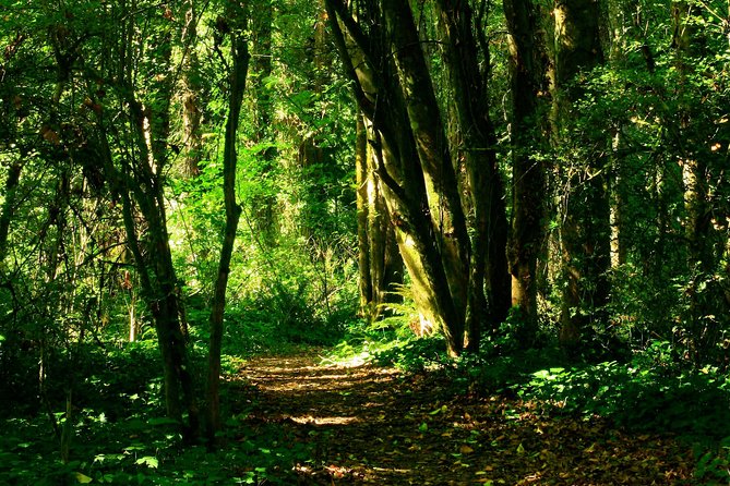 A Secret Romantic Adventure in Krabi – Kayaking, Beach Picnic & Forest Hike - Common Questions