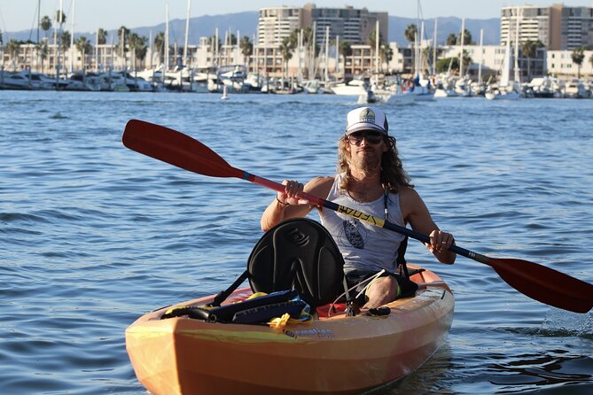 A Small-Group, Marina Del Ray Paddleboard or Kayaking Tour  - Santa Monica - Wildlife Spotting Opportunities