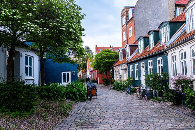 Aarhus Like a Local: Customized Private Tour - What To Expect