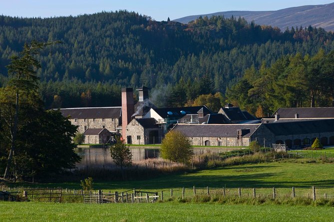 Aberdeen & Shire Castle & Distillery Private Group One Day Tour - Reviews and Testimonials