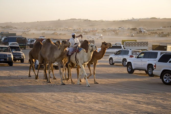 Abu Dhabi 6-Hour Desert Safari With BBQ Dinner - Directions and How to Get There