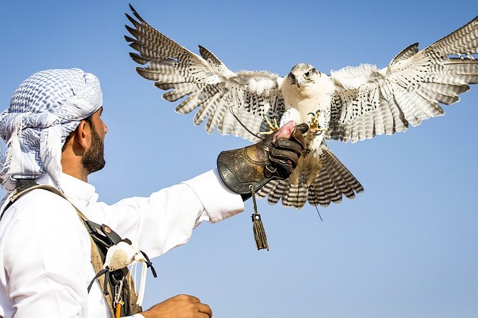 Abu Dhabi: 7-Hours Desert Safari With BBQ, Camel Ride & Sandboarding - Cancellation Policy and Refund Information