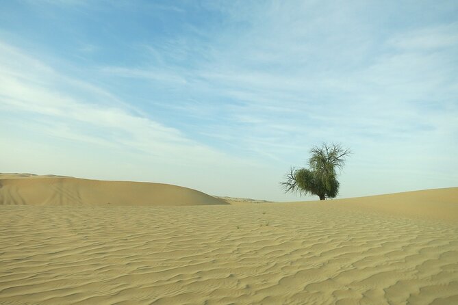 Abu Dhabi Desert Safari With BBQ, Camel Ride, and Arabian Show - Discover the Beauty of the Desert Landscape