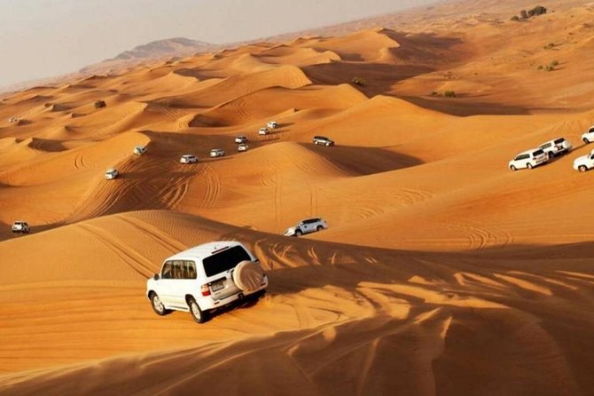 Abu Dhabi Evening Desert Safari With BBQ Dinner - Booking and Availability Information