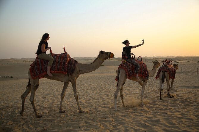 Abu Dhabi Half Day Desert Safari - Traveler Reviews and Ratings