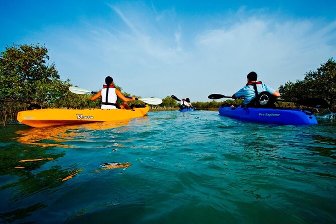 Abu Dhabi Mangrove Kayaking Tour - Cancellation Policy