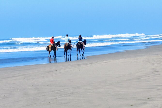 Acapulco Beach Horseback Riding Tour With Baby Turtle Release - Cancellation Policy