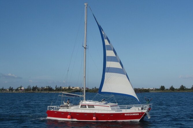 Acquarius Stingray City and Snorkel Tours - Snorkeling at Coral Garden