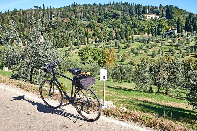 Active Full Day Tuscan Bike Tour - Pricing