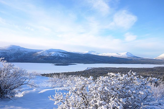 Active Winter Adventure in Yukon 5 Days - Common Questions