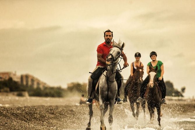Adventure Horse Riding From Kusadasi / Selcuk Hotels - Opportunity for Expert Riders to Gallop on the Beach
