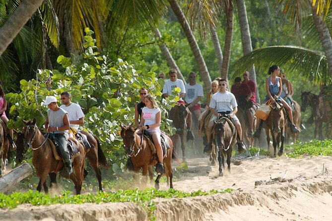Adventure in Samana Waterfall Cayo Levantado Horse Punta Cana - Tour Details