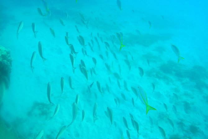 Adventure SNUBA in St. Maarten - Must-do Activity in St. Maarten