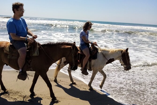 AfroMex Village Beach Horseback Baby Turtle Release & Crocs Farm - Cancellation Policy