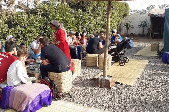 Agadir Camel Ride Flamingo River Sunset With Delicious Couscous & Barbecue - Customer Support and Assistance