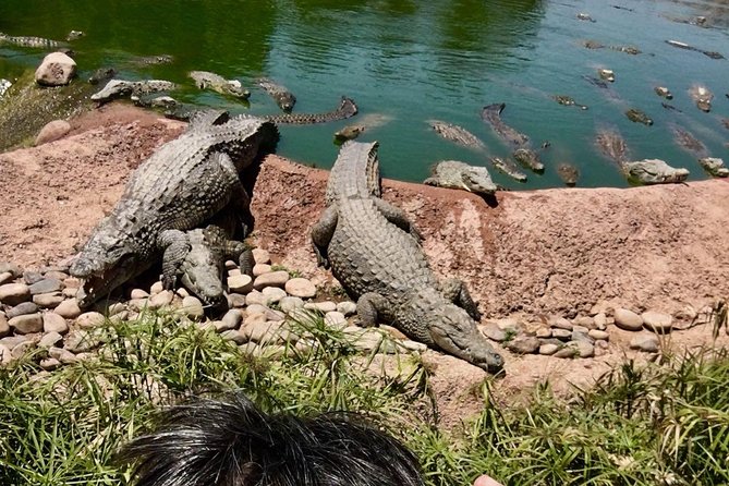 Agadir Crocopark Round-Trip Transfer - Directions