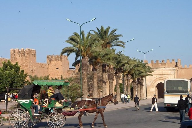 Agadir Excursion to Taroudant & Tiout Oissis With Lunch - Common Questions
