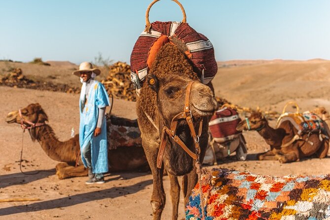 Agafay Desert - Quad Camel and Dinner Show - Sample Menu and Food Options