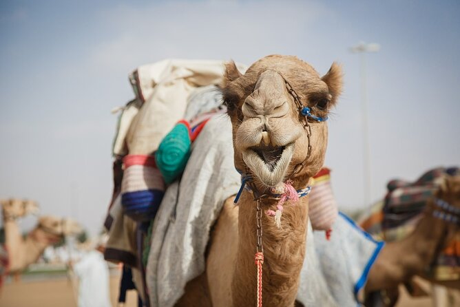 Al Ain City Sightseeing - Al Ain Museum & Forts & Camel Market & Mosques & More - Traditional Culture