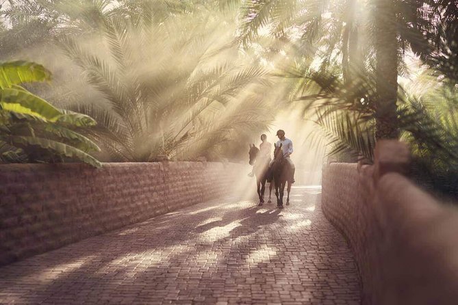 Al Ain City Tour From Dubai - Common Questions