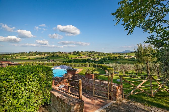 Al Fresco Lunch and Wine Tasting Under the Olive Trees  - Montepulciano - Discover Traditional Tuscan Dishes