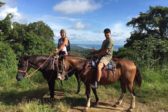 Alanya Horse Riding Experience With Free Hotel Transfer - Good To Know
