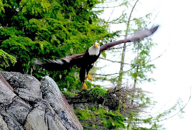 Alaska Marine Fast Boat Adventure - Reviews