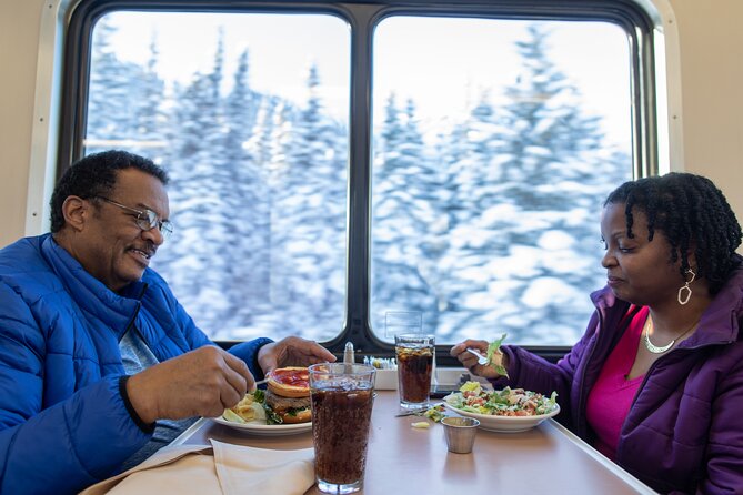 Alaska Railroad Aurora Winter Fairbanks to Anchorage One Way - One-Way Rail Transportation