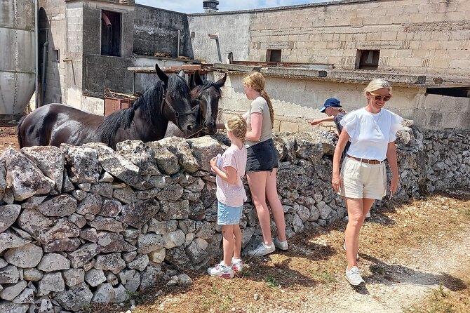 Alberobello in E-Bike. the Countryside, a Mill and a Farm - Highlights of the Tour