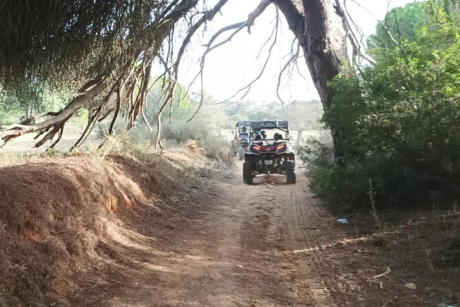 Albufeira 2 Hour Off-Road Tour Buggy Adventure Tour - Scenery and Weather