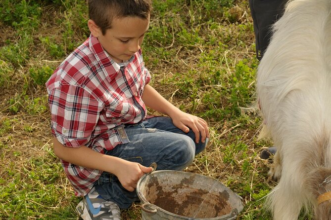 Alcamo Farm Animals and Aromatic Garden - Reviews