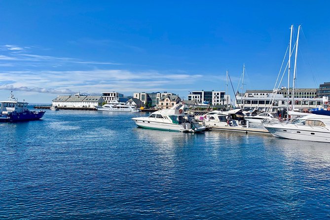 Alesund Sightseeing Private Tour for Cruise Passengers - Expert Tour Guide