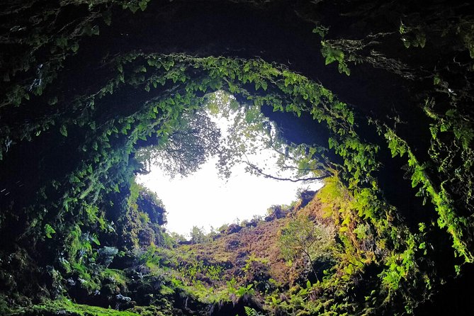 Algar Do Carvão Express: Half Day Tour - Cancellation Policy and Booking Information
