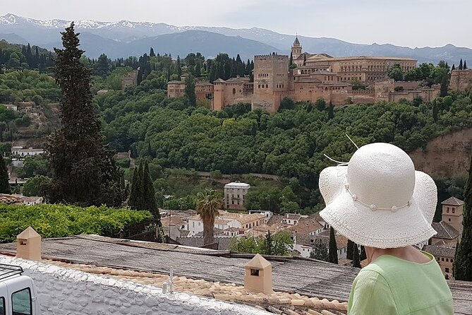 Alhambra and Albaycin Ceramics Collection Private Tour - Exclusive Tour Experience