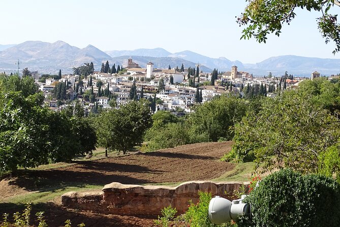 Alhambra and Nasrid Private Walking Tour With Food Tasting - Local Cuisine Tasting Experience