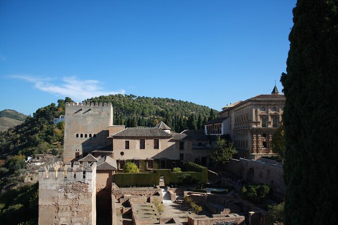 Alhambra Day Trip With Optional Nazaries Palaces From Malaga - Positive Reviews