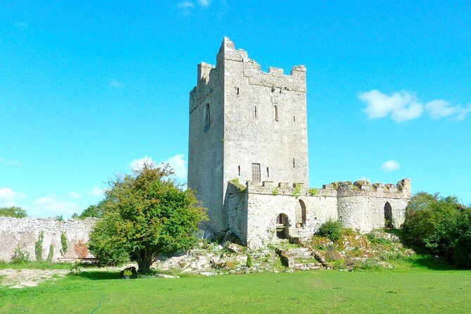 All-Day Tour of Historical Landmarks in County Galway - Questions and Support