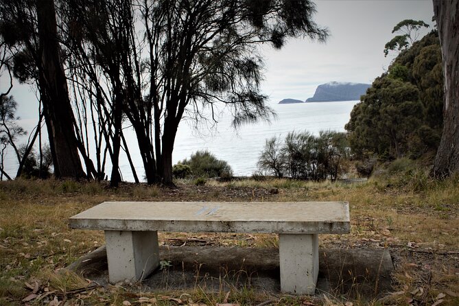 All Inclusive Private Bruny Island Discovery Tour - Reviews